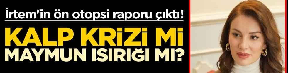 İrtem'in ön otopsi raporu çıktı! Kalp krizi mi, maymun ısırığı mı?