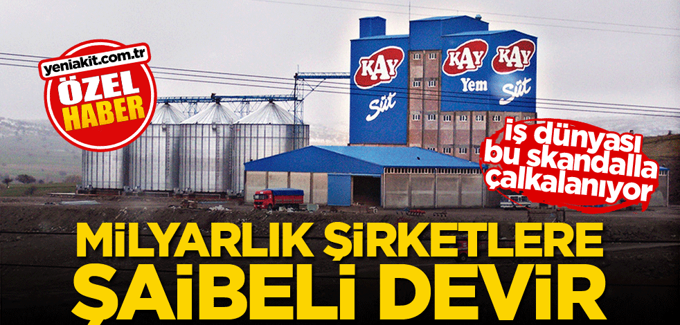 İş dünyası bu skandalla çalkalanıyor! Milyarlık şirketlere şaibeli devir