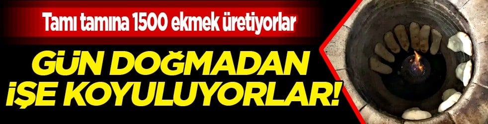 İşe koyuluyorlar sabah bunu üretiyorlar: Günde 1500 adet 'peynir ekmek gibi' gidiyor... Görünümüyle dikkat çekiyor