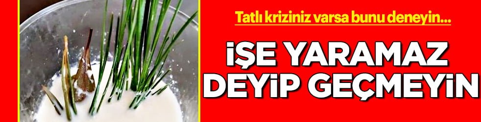 İşe yaramaz deyip geçmeyin: Zeytin yaprağı... 5-6 gün içinde silip atıyor.. İşte formülü ve adımları