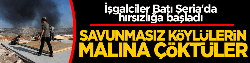 İşgalciler Batı Şeria'da hırsızlığa başladı! Savunmasız köylülerin malına çöktüler