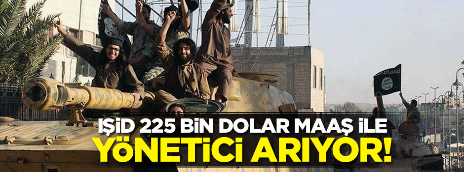 IŞİD, petrolünü yönetecek CEO arıyor