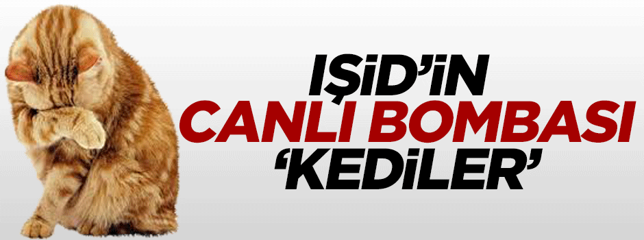 IŞİD’in canlı bombası 'kediler'