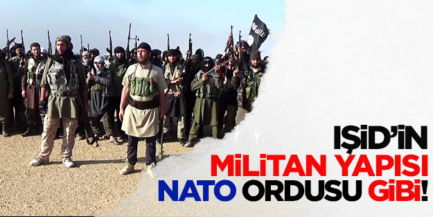 IŞİD'in yapısı NATO ordusu gibi!