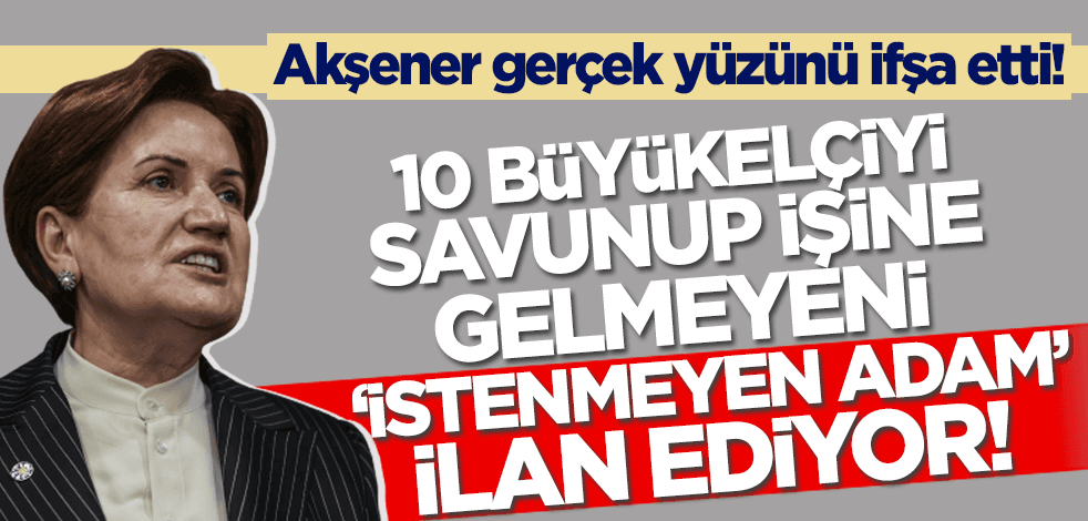 İşine gelmeyeni 'istenmeyen adam' ilan ediyor! Meral Akşener gerçek yüzünü ifşa etti!