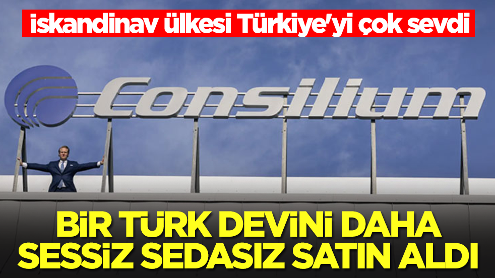 İskandinav ülkesi Türkiye'yi çok sevdi: Bir Türk devini daha sessiz sedasız satın aldılar