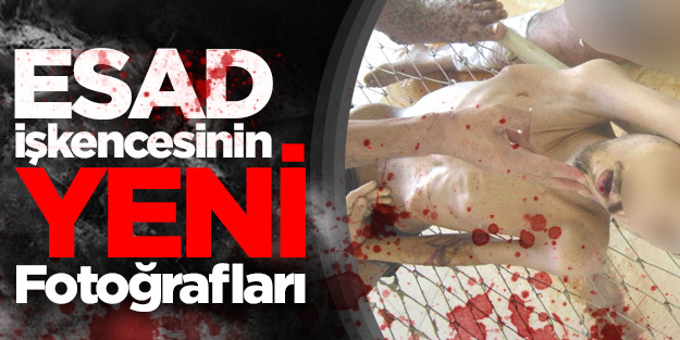 İşkencenin belgesi