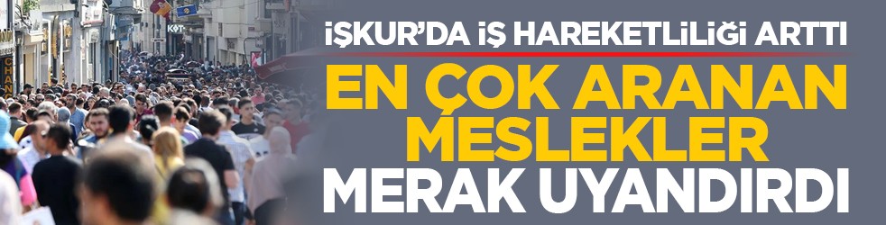 İŞKUR’da iş hareketliliği arttı: En çok aranan meslekler merak uyandırdı
