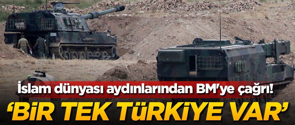 İslam dünyası aydınlarından BM'ye çağrı! 'Bir tek Türkiye var'