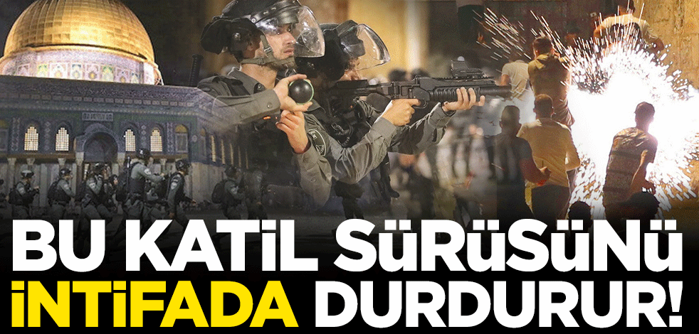 İslam dünyası paramparça! Bu katil sürüsünü ancak intifada durdurur