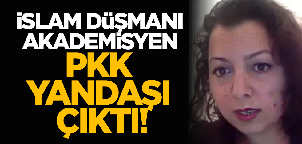 İslam düşmanı akademisyen PKK yandaşı çıktı!