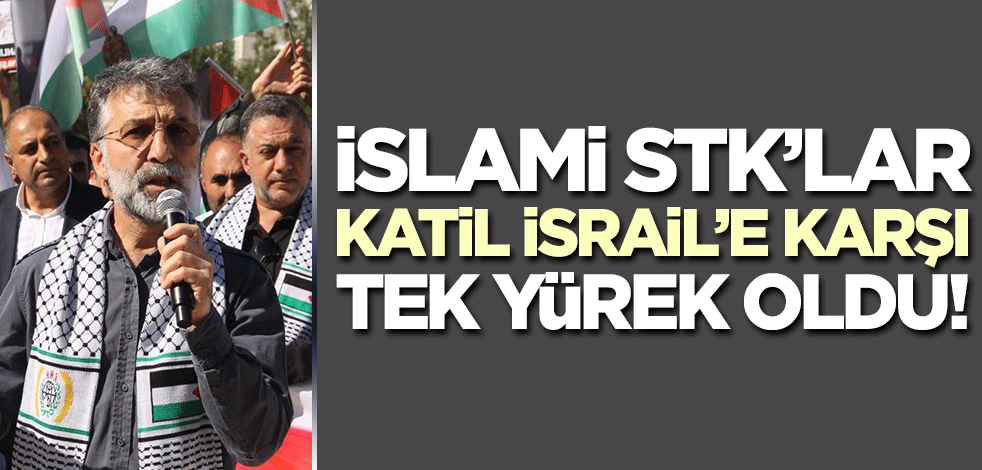 İslami STK'lardan Diyarbakır'da Filistin mitingi! 'İsrail bir devlet değildir'