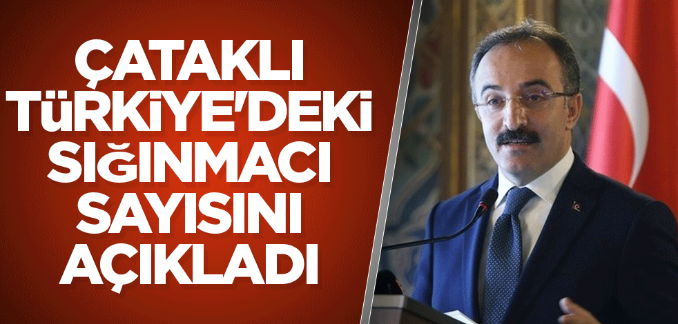 İsmail Çataklı Türkiye'deki sığınmacı sayısını açıkladı