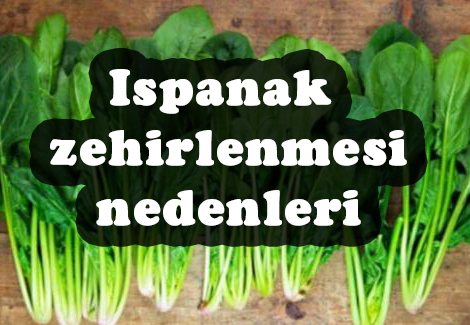 Ispanak zehirlenmesi nedir? Ispanak zehirlenmesinin belirtileri