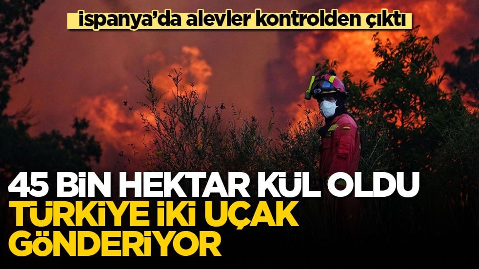 İspanya’da alevler kontrolden çıktı! 45 bin hektar kül oldu, Türkiye iki uçak gönderiyor