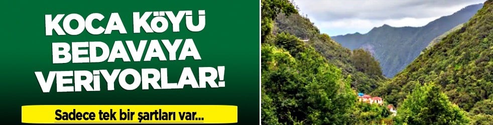  İspanya'da koca köyü bedavaya kullanıyorlar: Köyde tek bir şartları var, satışa satışa çıktı... Herkes şaşkın