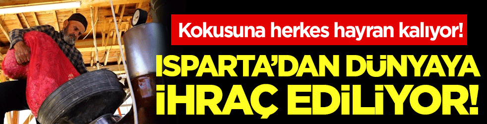 Isparta'dan dünyaya ihraç ediliyor! Kokusuna herkes hayran kalıyor!
