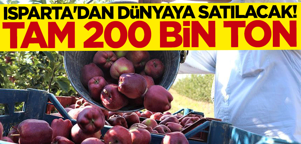 Isparta'dan dünyaya satılacak! Tam 200 bin ton