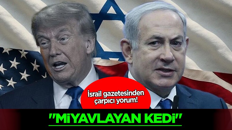 İsrail gazetesinden, Tel Aviv'in 'kükreyen aslan' isimli saldırıdan 'miyavlayan kedi' olarak çıktığı yorumu