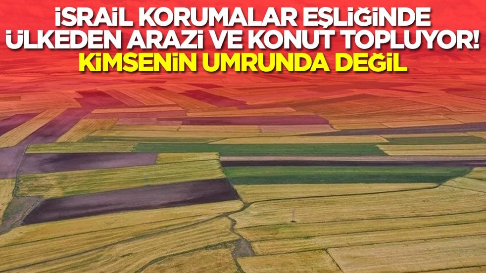 İsrail korumalar eşliğinde ülkeden arazi ve konut topluyor: Kimsenin umrunda değil