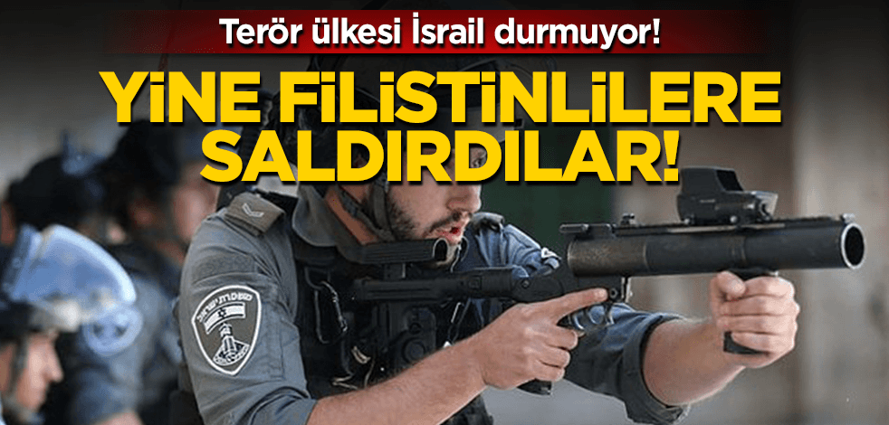 İsrail polisi, Kudüs'te Şeyh Cerrah Mahallesi'ndeki Filistinlilere yine saldırdı