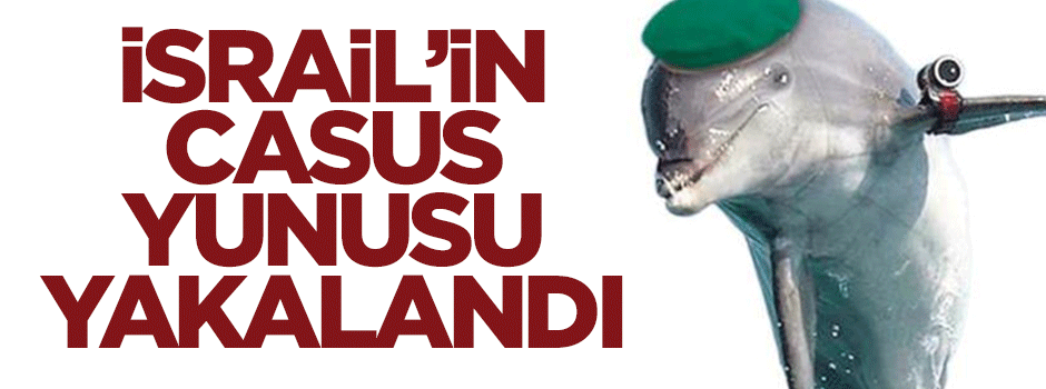İsrail'in casus yunusu yakalandı