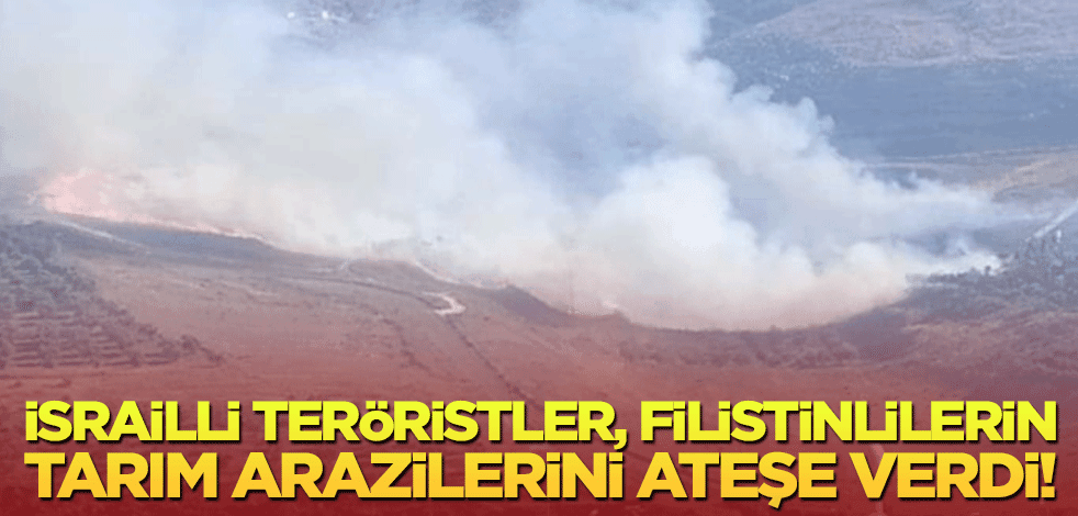 İsrailli teröristler, Filistinlilerin tarım arazilerini ateşe verdi!