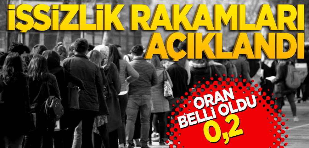 İşsizlik oranı belli oldu