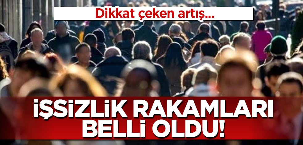 İşsizlik rakamları belli oldu!