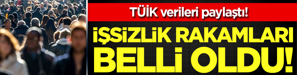 İşsizlik rakamları belli oldu! TÜİK verileri paylaştı!