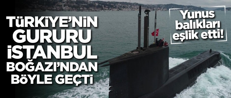 İstanbul Boğazı'nda büyük gurur! Harekat için yunuslarla geçti