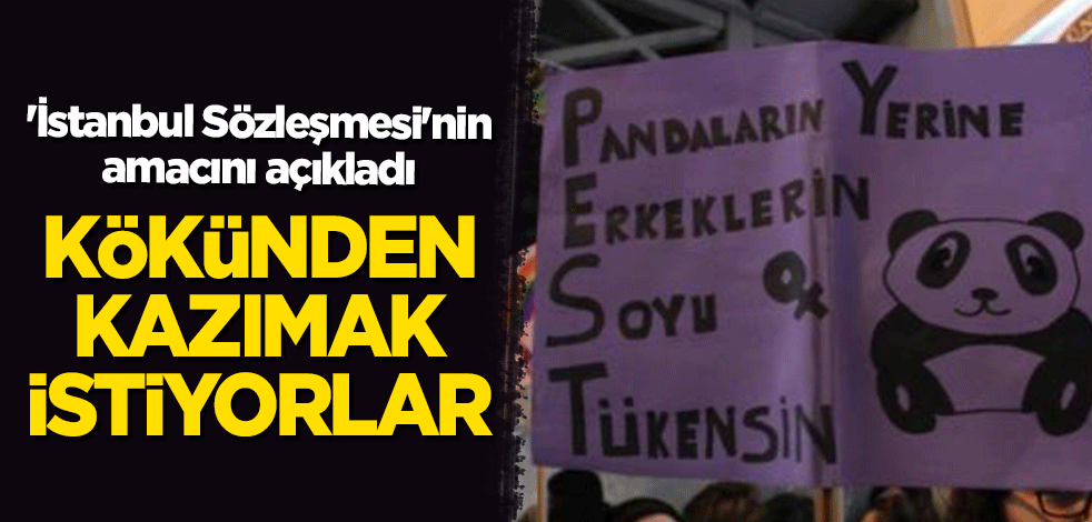 İstanbul Sözleşmesi'nin amacını açıkladı: Kökünden kazımak istiyorlar