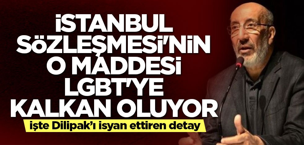 İstanbul Sözleşmesi'nin o maddesi LGBT'ye kalkan oluyor