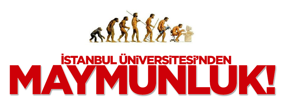 İstanbul Üniversitesi'nden maymunluk