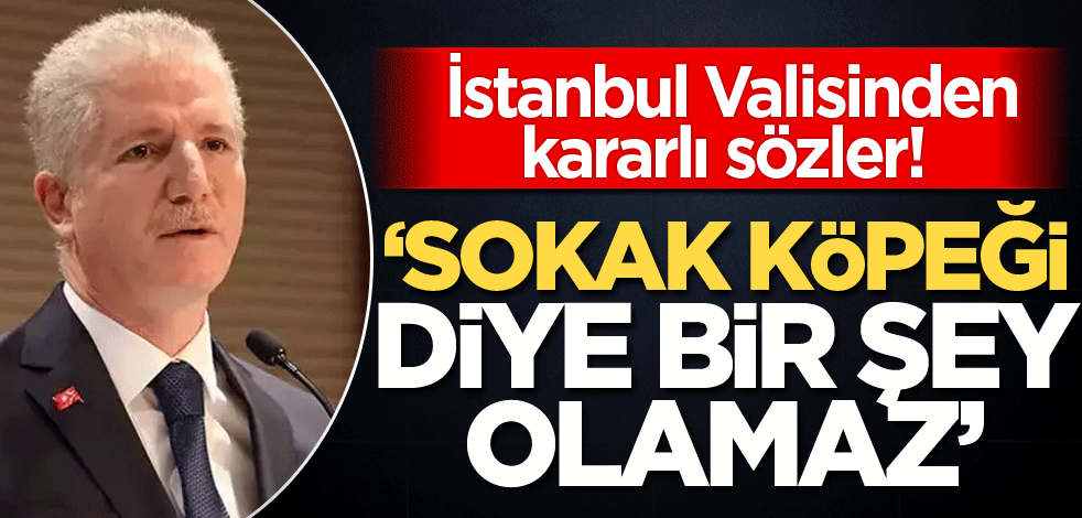 İstanbul valisinden kararlı sözler! ‘Sokak köpeği diye bir şey olamaz’