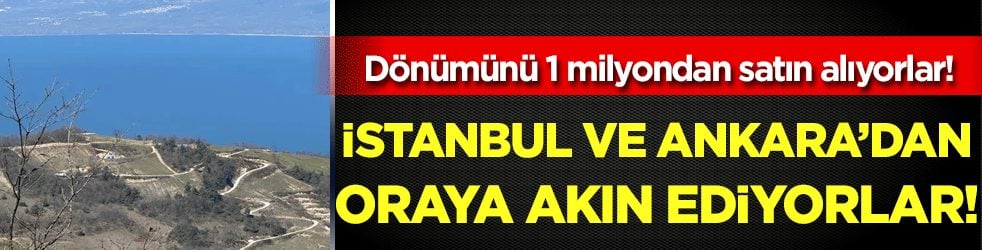 İstanbul ve Ankara'dan çıkıp geliyorlar: Dönümünü 1 milyon TL'den satın alıyorlar!