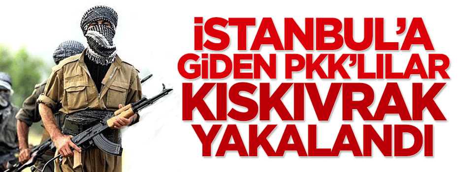 İstanbul'a giden PKK'lılar kıskıvrak yakalandı