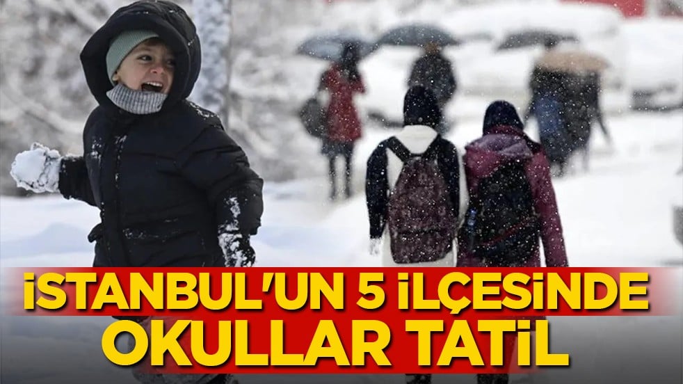 İstanbul'da 5 ilçede okullar tatil edildi: İşte kar tatili olan bölgeler!
