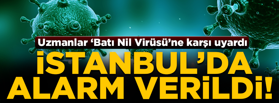 İstanbul'da alarm verildi! Uzmanlar, 'Batı Nil Virüsü'ne karşı uyardı