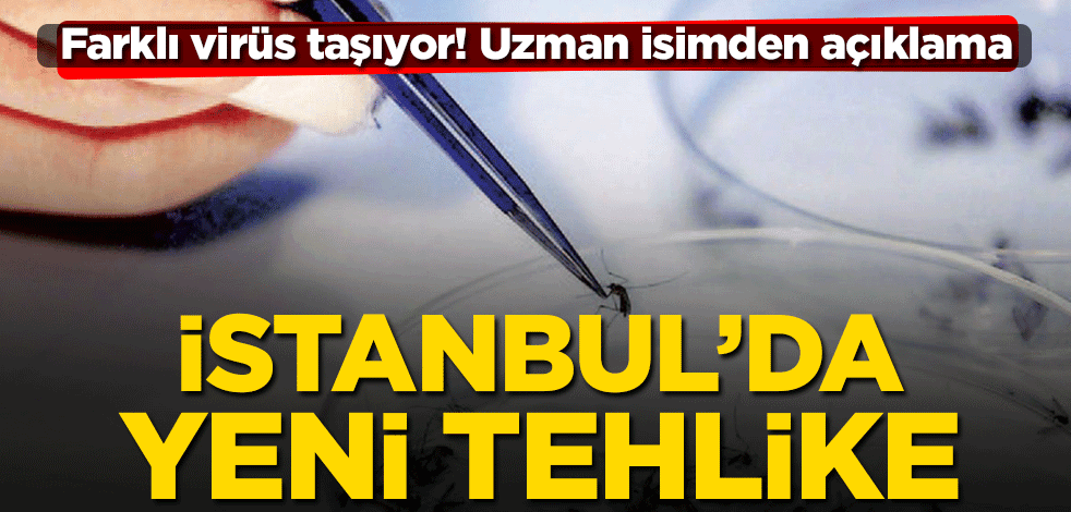 İstanbul'da Asya Kaplan Sivrisineği tehlikesi