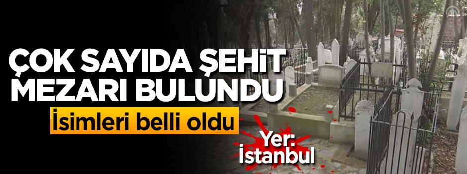 İstanbul'da çok sayıda şehit mezarı bulundu