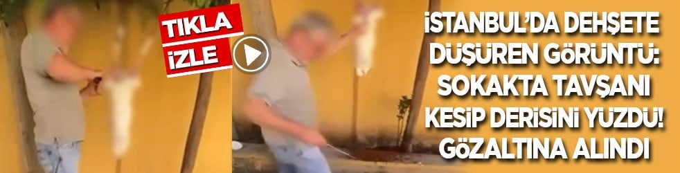 İstanbul’da dehşete düşüren görüntüler! Sokakta tavşanı kesip derisini yüzdü, gözaltına alındı