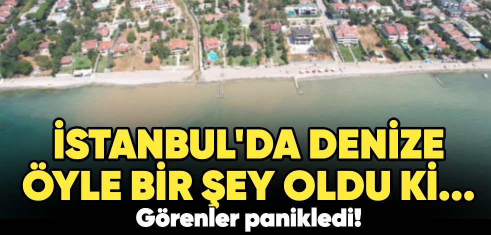 İstanbul'da denize öyle bir şey oldu ki... Görenler panikledi!