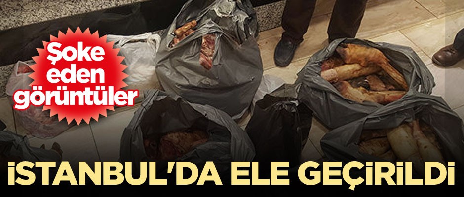 İstanbul'da ele geçirildi... Şoke eden görüntüler