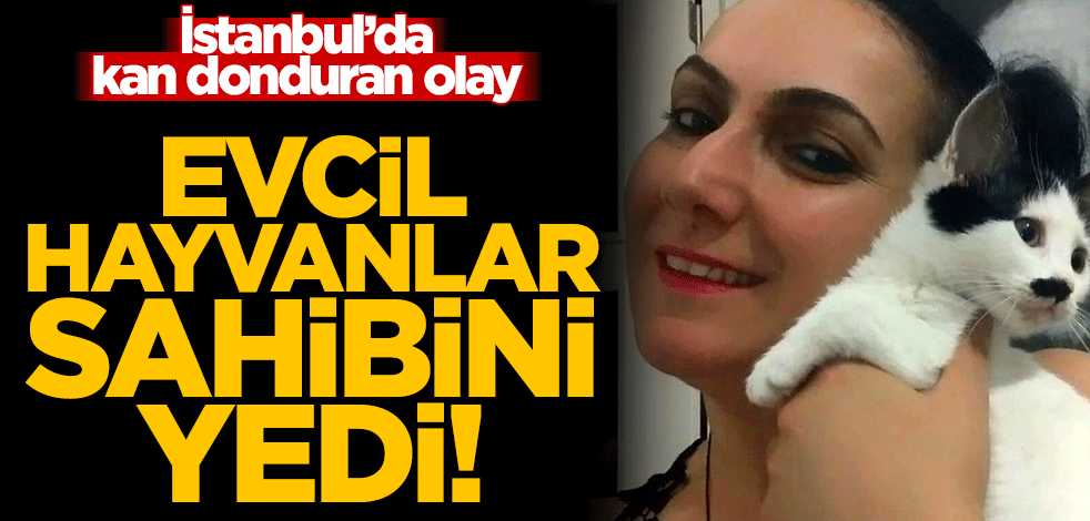 İstanbul'da evcil hayvanlar sahibinin cesedini parçaladı!