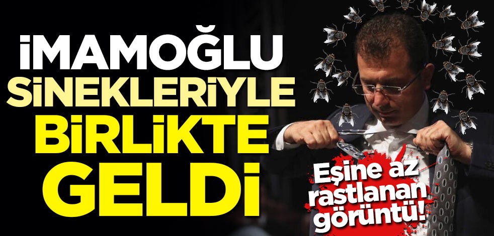 Eşine az rastlanan görüntü! İmamoğlu sinekleriyle birlikte geldi