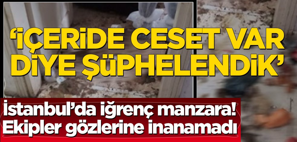 İstanbul’da iğrenç görüntüler! Komşular ihbar etti, ekipler gözlerine inanamadı