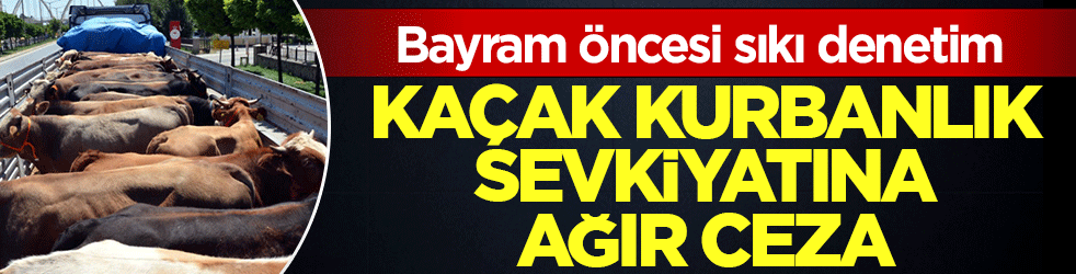 İstanbul’da kaçak kurbanlık operasyonu! Sürücülere toplam 626 bin lirayı aşan ceza kesildi