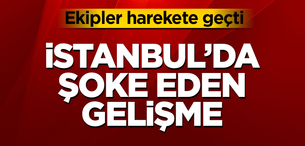 İstanbul'da kafatası ve iskelet parçaları bulundu! Görenler dehşete düştü! Ekipler harekete geçti