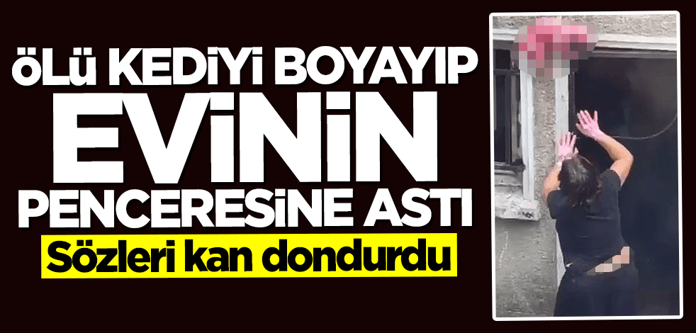 İstanbul'da kan donduran olay! Ölü kediyi boyayıp...
